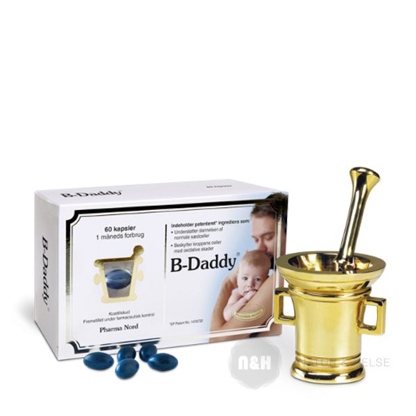 B-Daddy 60 stk.